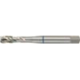 Maschinengewindebohrer 4000601958 Gruppe