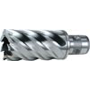 Kernbohrer 4000602570 Gruppe