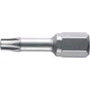 Torx-Bits Gruppe