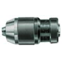 Schnellspann-Bohrfutter 4000832068 Gruppe