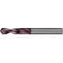 Spiralbohrer 4000860873 Gruppe
