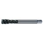 Maschinengewindebohrer 4000867363 Gruppe