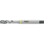 Maschinengewindebohrer 4000867293 Gruppe